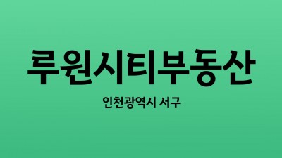 인천시 서구 루원시티공인중개사