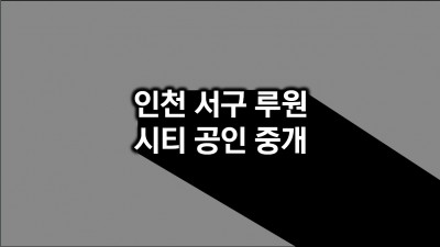 인천시 서구 루원시티공인중개사